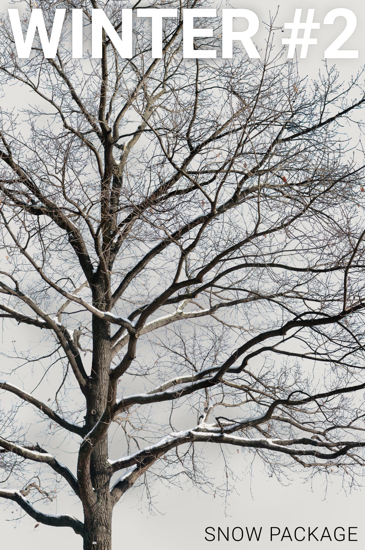 WINTER 2 | Snow Package