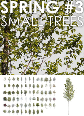 Spring | SMALL TREES PACKAGE