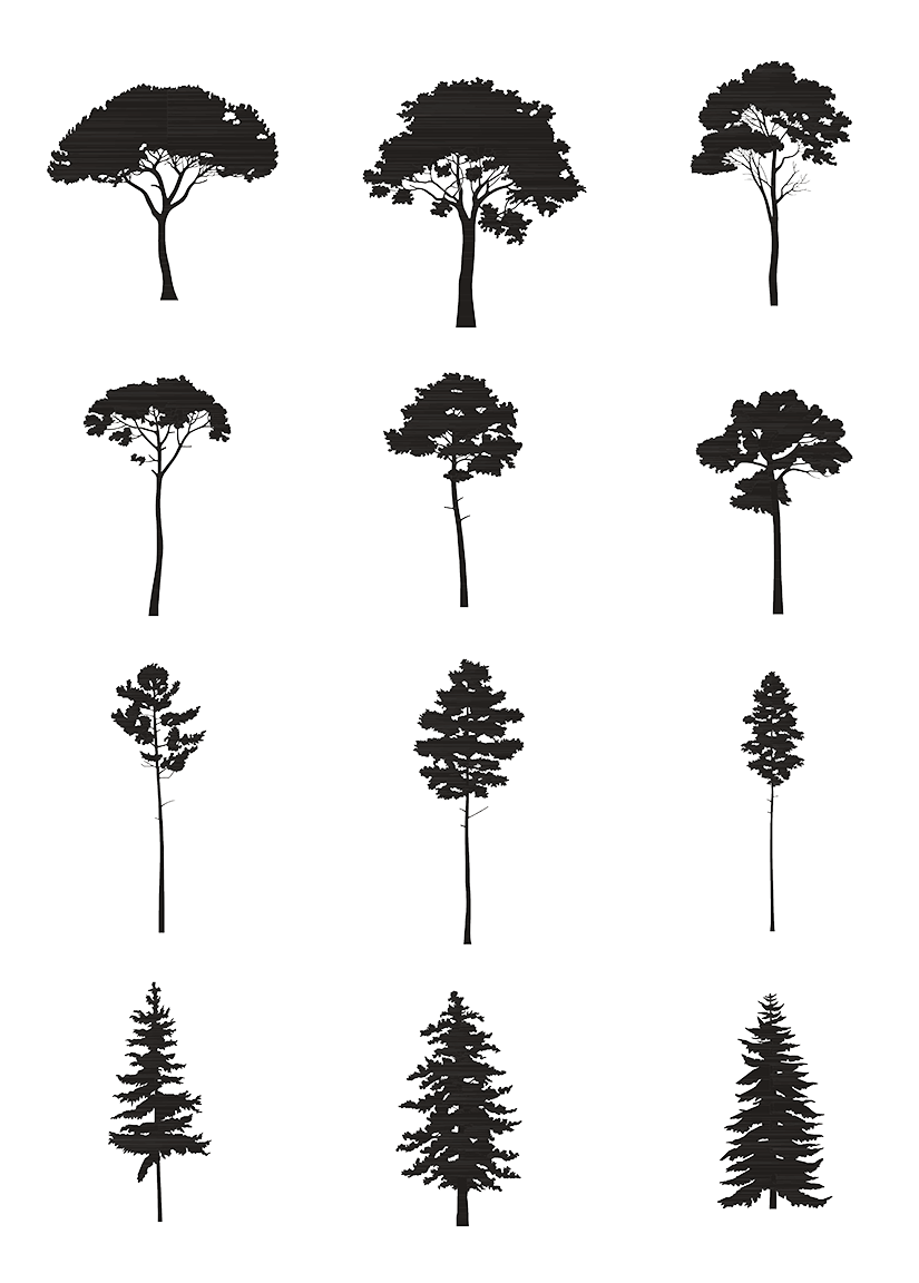 DWG Vectorial 4 - Conifer Trees - cutout trees