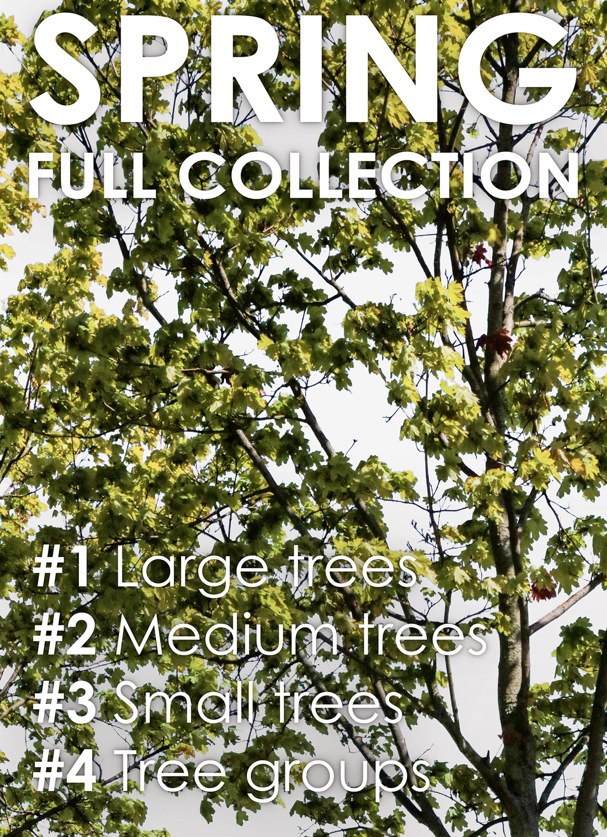 Spring | PACKAGES COLLECTION