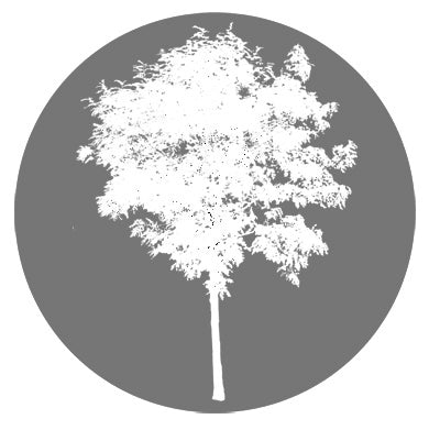 Tree PNG Library
