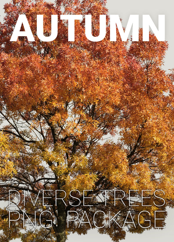 Autumn Tree PNG Package — 79 High-Resolution Cut Out Trees – Cutout|trees