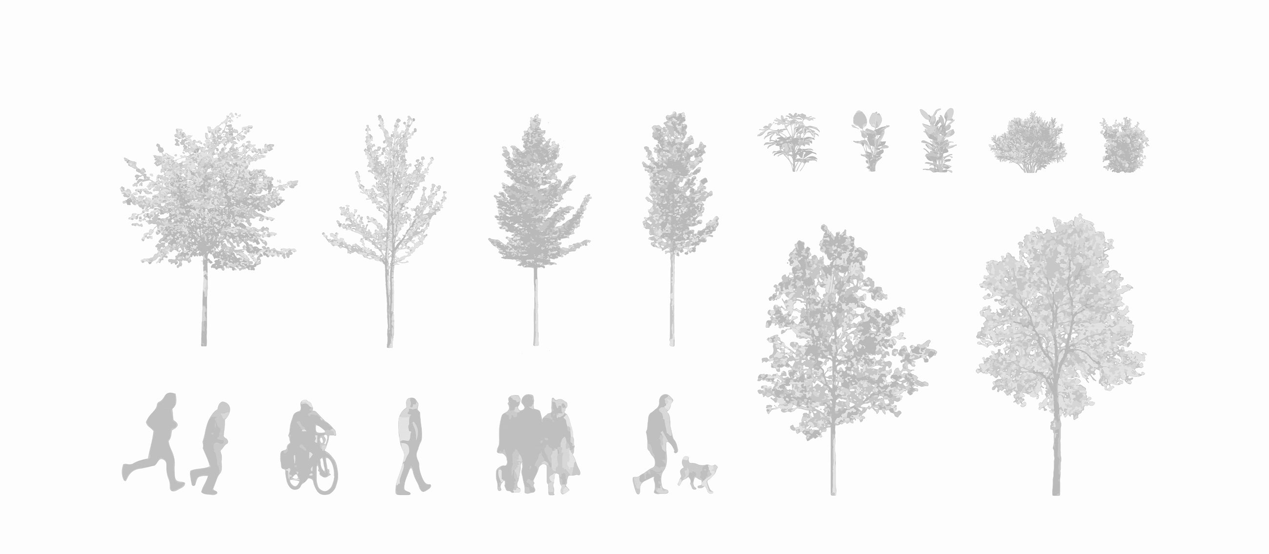 CAD Blocks for Trees — DWG Library for Architecture – Cutout|trees