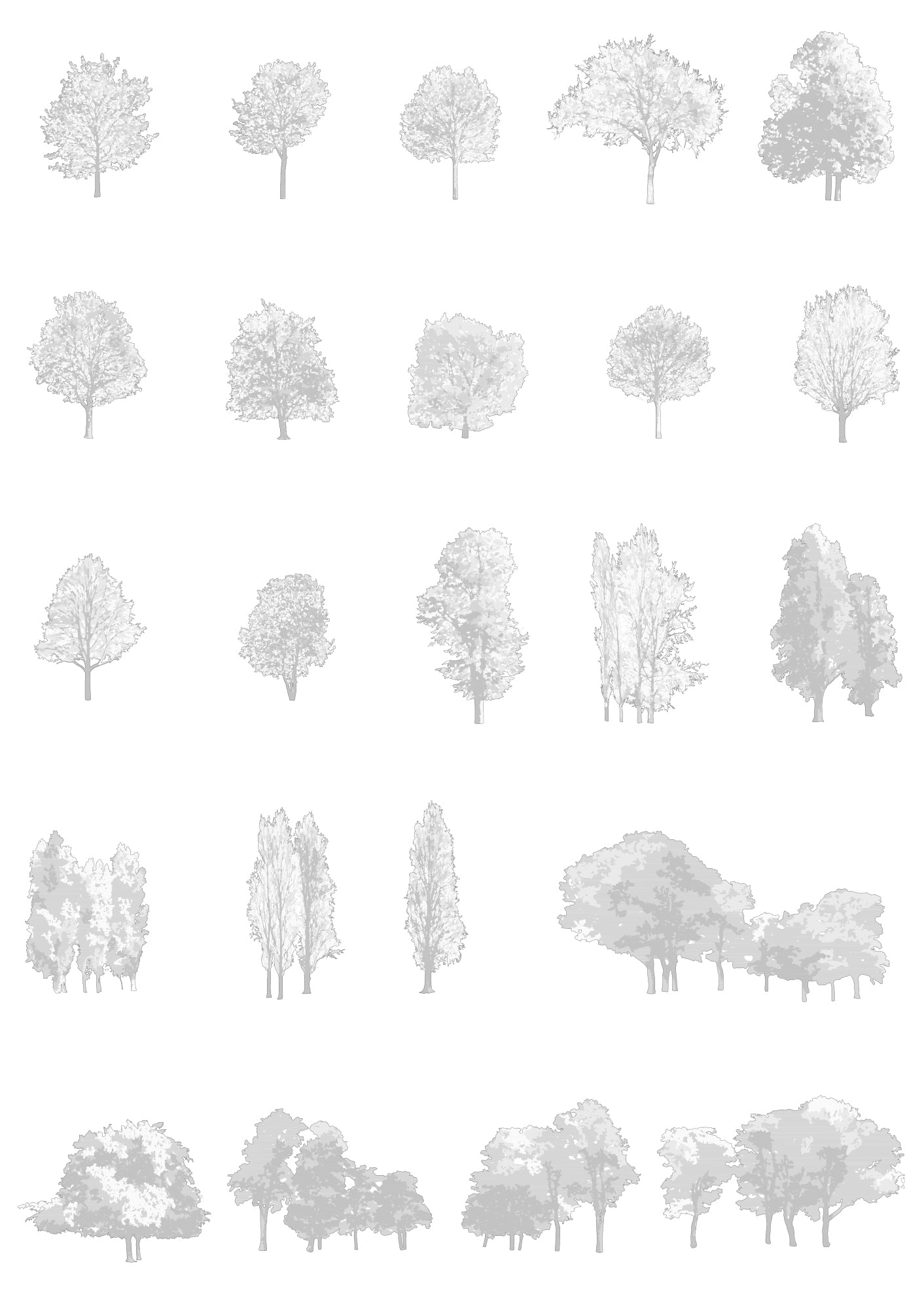 Large tree CAD blocks in elevation — detailed DWG drawings for architectural sections
