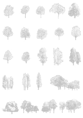 Large tree CAD blocks in elevation — detailed DWG drawings for architectural sections