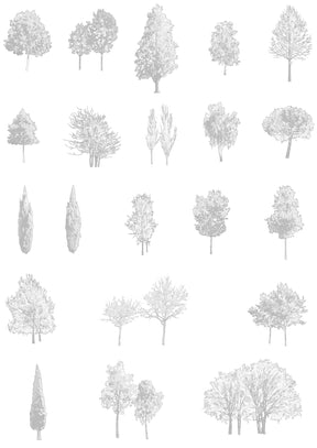 Trees CAD blocks — detailed DWG drawings for architectural sections.