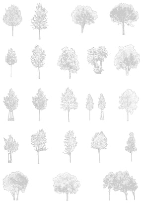 Small tree CAD blocks drawings — for architectural sections