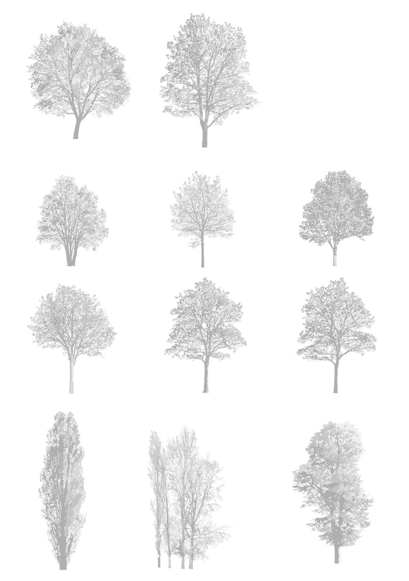 CAD tree blocks DWG — diverse tree elevation library for architecture and landscape design