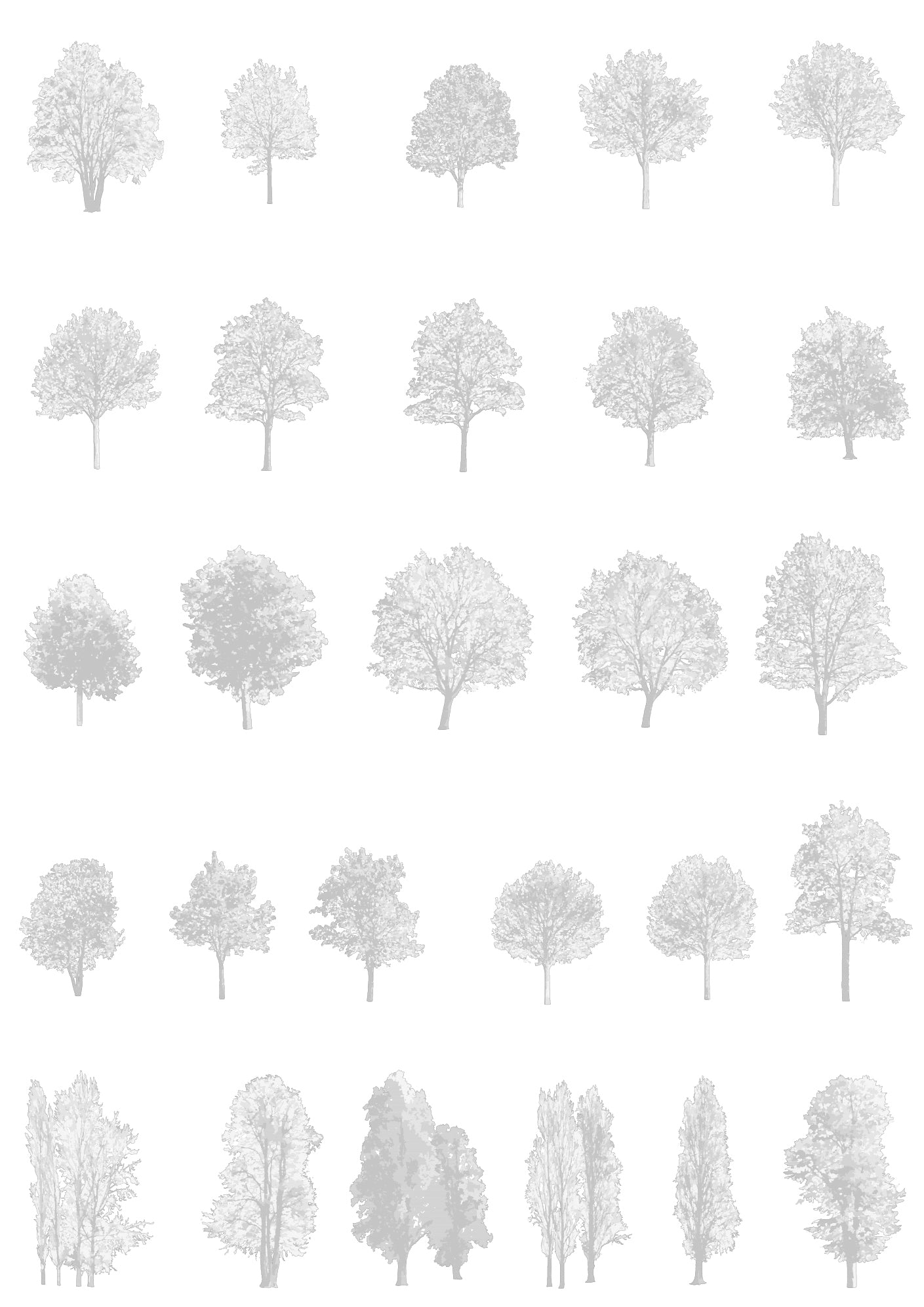 CAD tree blocks DWG — diverse tree library for architecture and landscape design