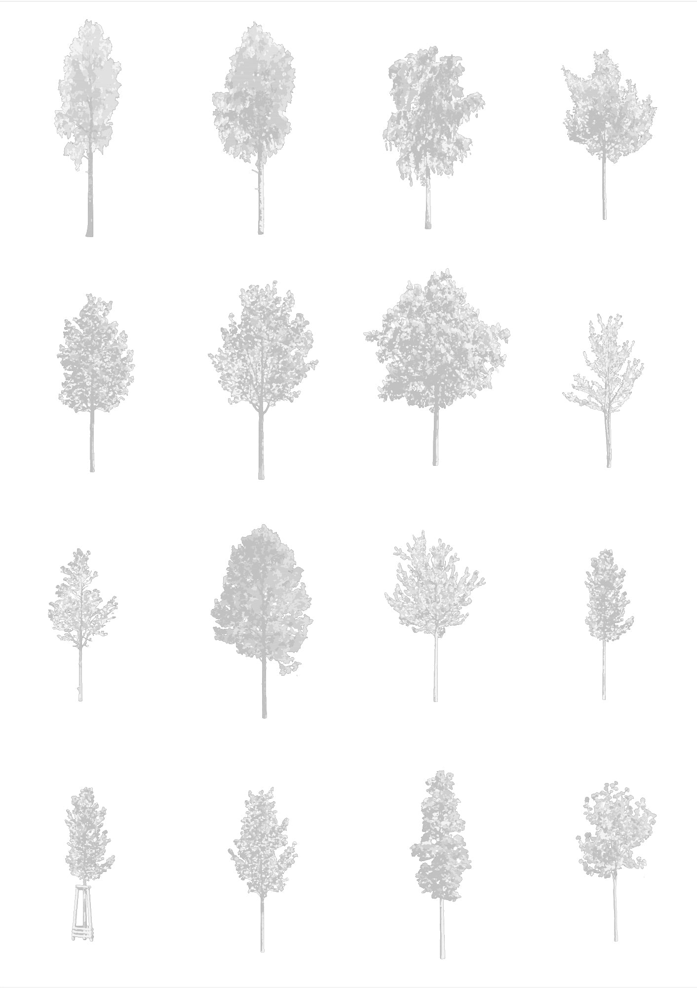 CAD tree blocks DWG — diverse tree library for architecture and landscape design