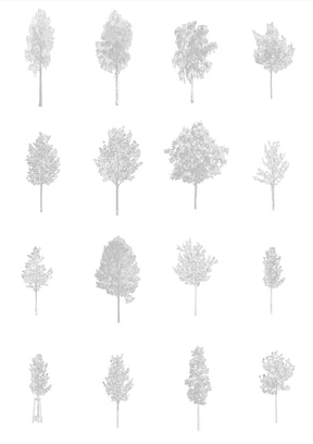 CAD tree blocks DWG — diverse tree library for architecture and landscape design