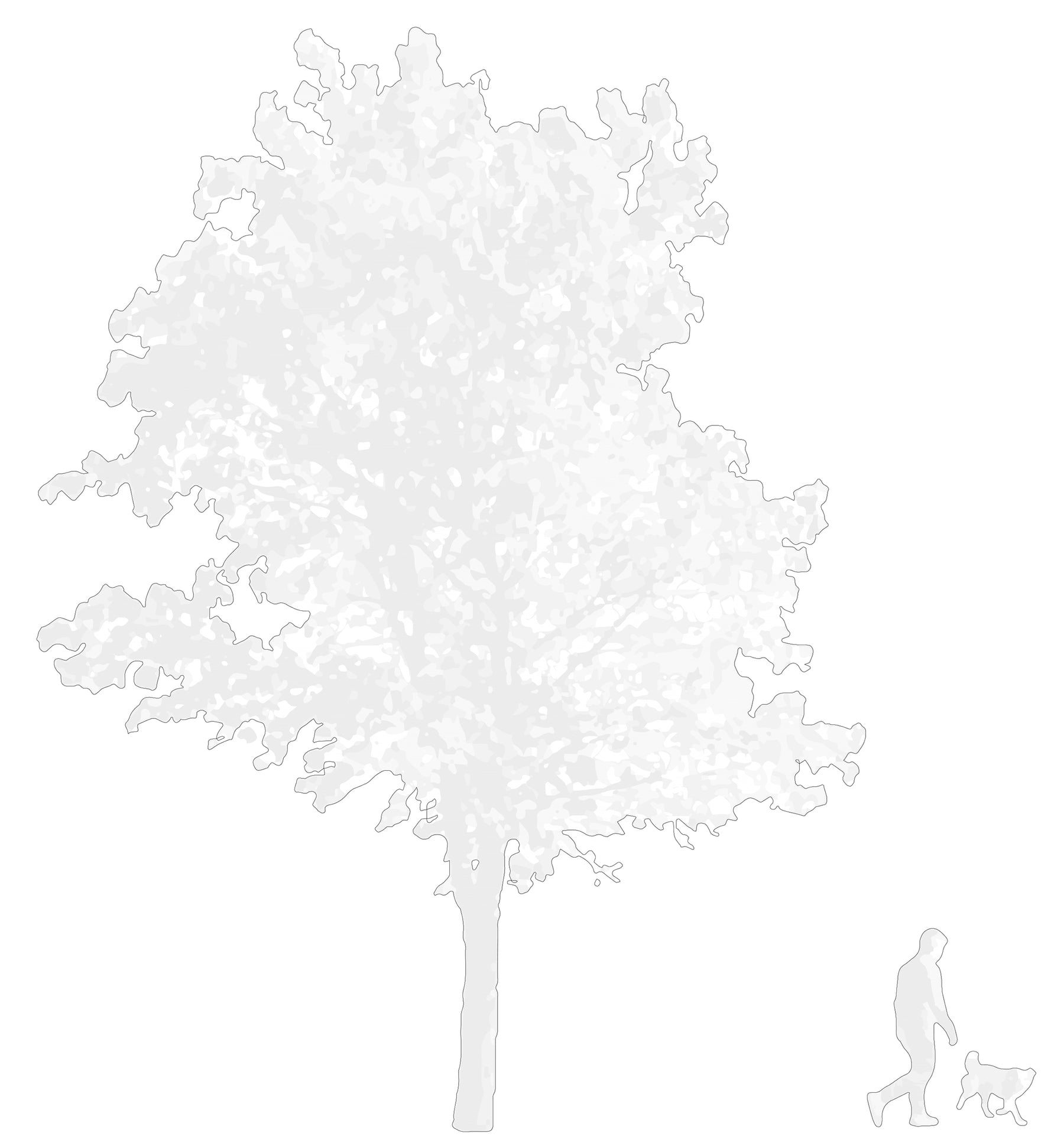 CAD tree blocks in elevation — dark tonal style, DWG for architectural drawings