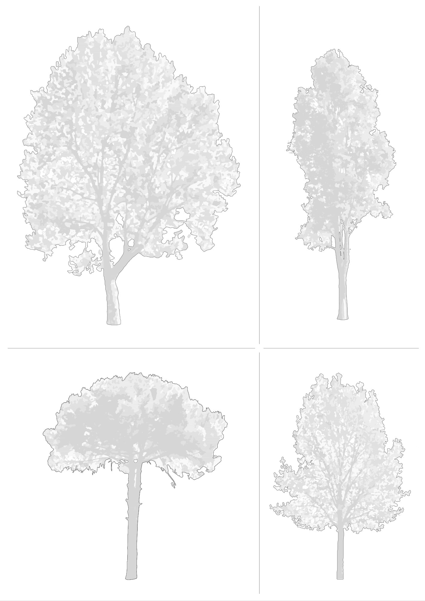 CAD tree drawings — blocks in elevation — diverse trees for architecture, DWG files