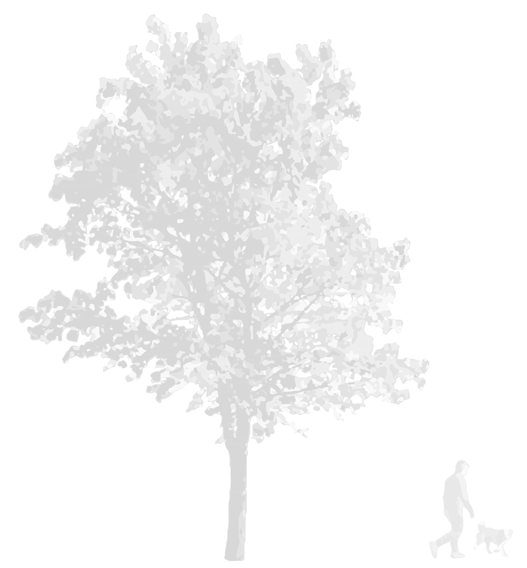 CAD tree blocks in elevation — light tonal style, DWG download for architectural sections