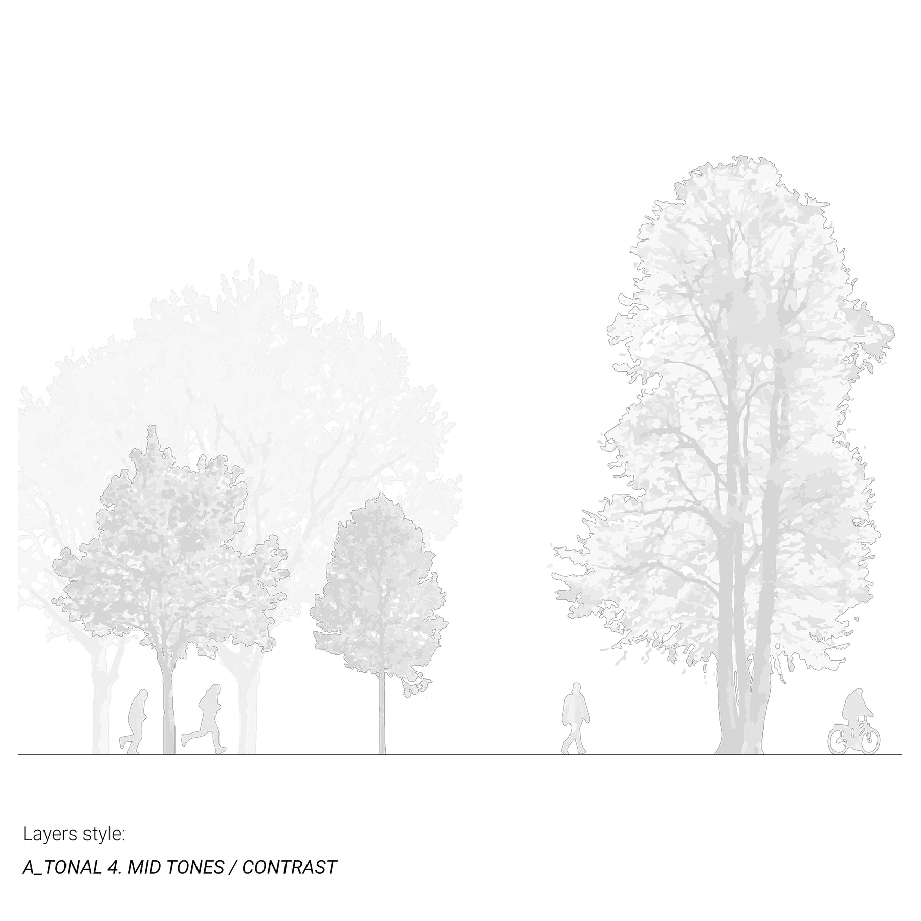Tonal CAD tree elevations — vector blocks with layered fills, DWG-ready for AutoCAD and Rhino