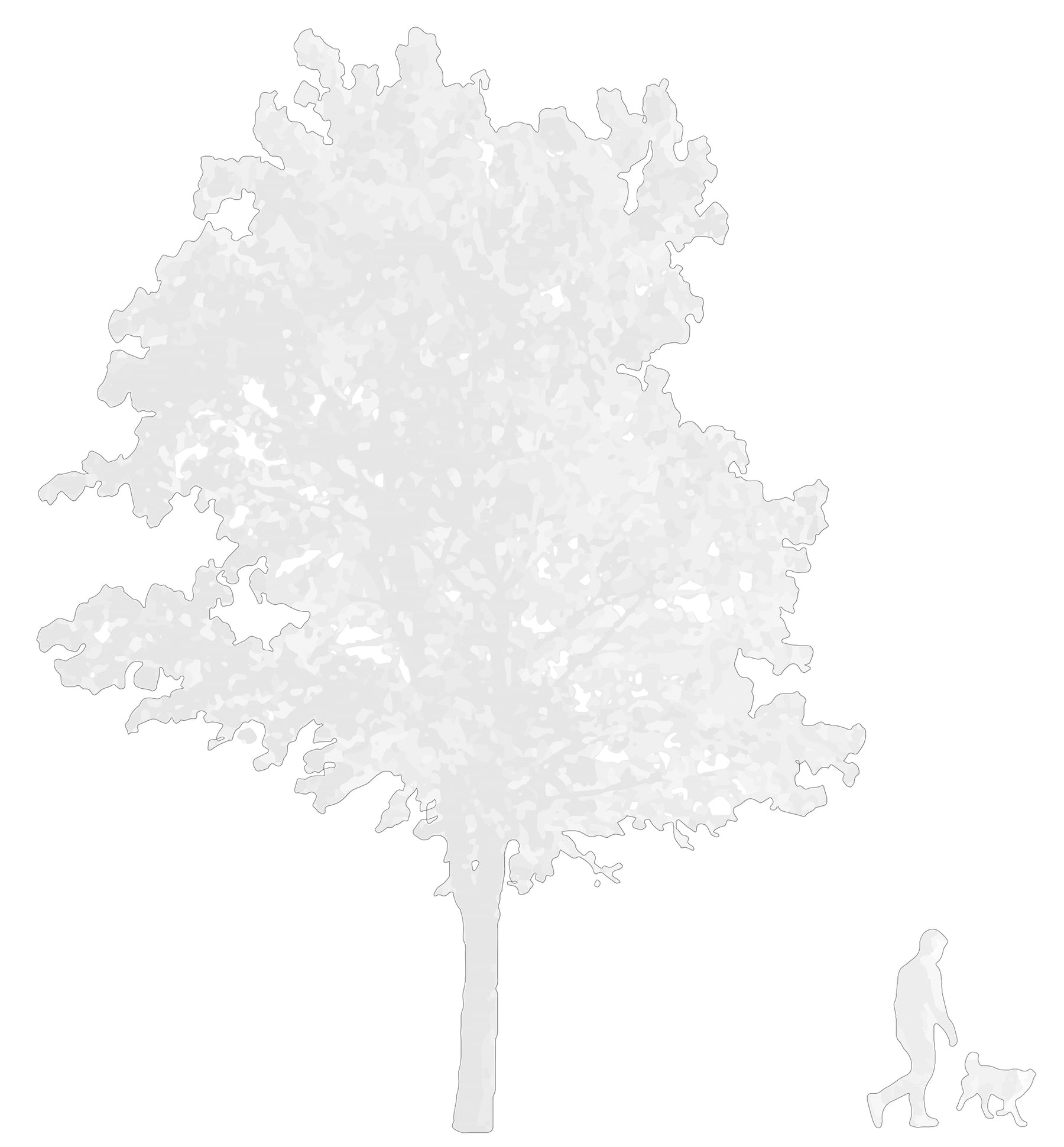 CAD tree blocks in silhouette — high contrast DWG for architectural sections