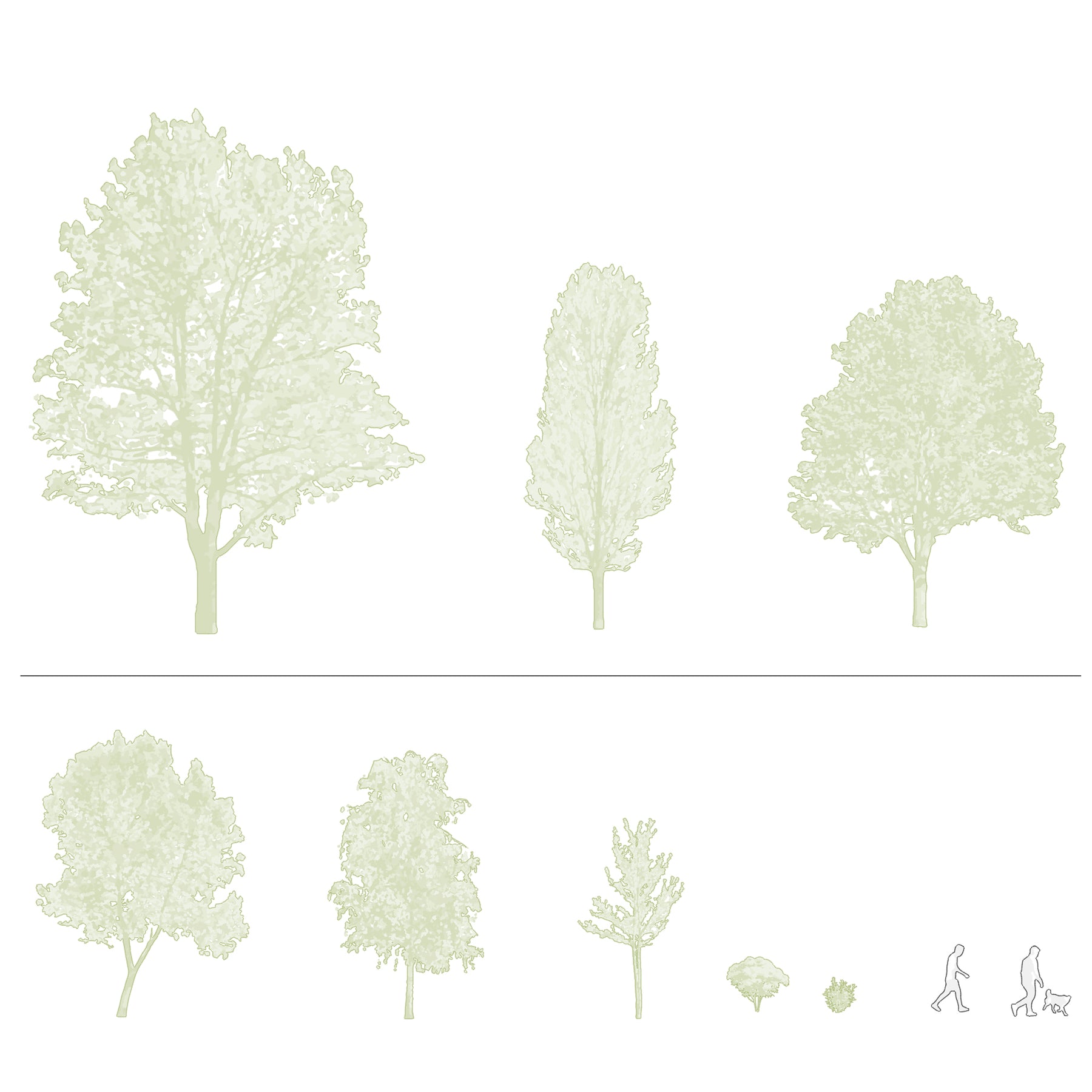 CAD tree blocks in section — diverse trees and people drawing, DWG for AutoCAD