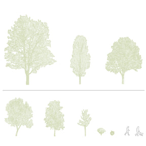 CAD tree blocks in section — diverse trees and people drawing, DWG for AutoCAD