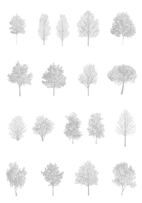 Detailed tree drawings in polyline — preview of the Core Package, ready for AutoCAD and SketchUp workflows