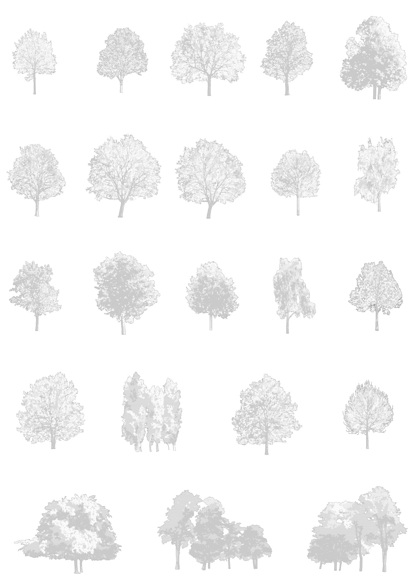 Large tree CAD blocks — diverse trees for architectural drawings and sections, DWG for AutoCAD