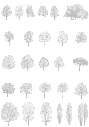 Large tree CAD blocks — detailed DWG files for architecture and landscape