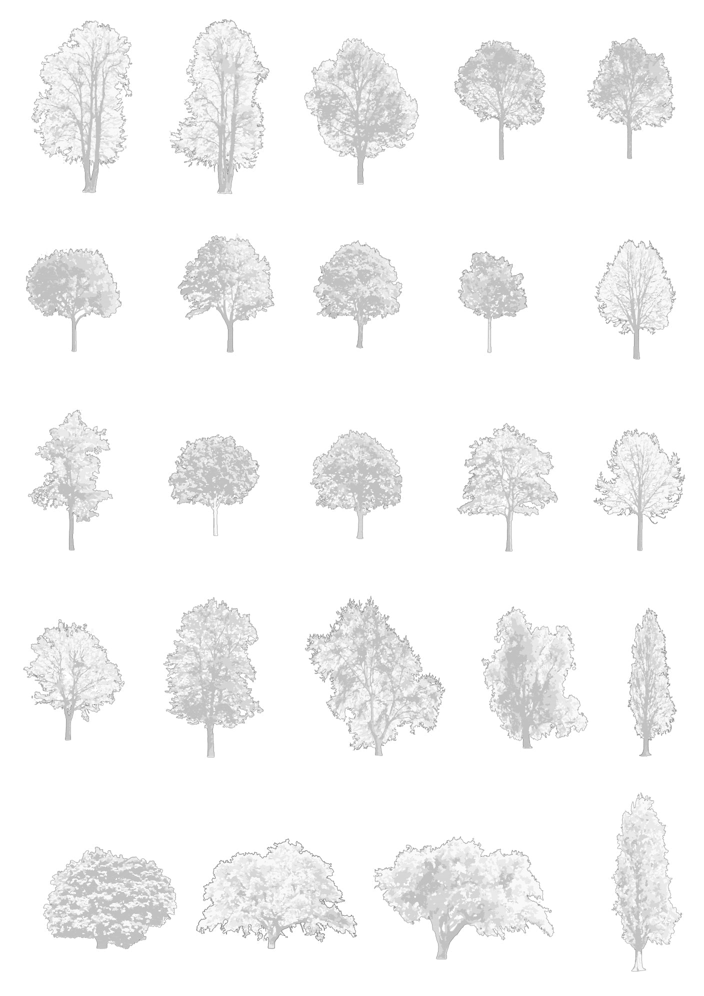 Large tree CAD blocks in elevation — detailed DWG drawings