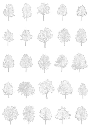 Large trees CAD blocks — detailed AutoCAD drawings for architecture