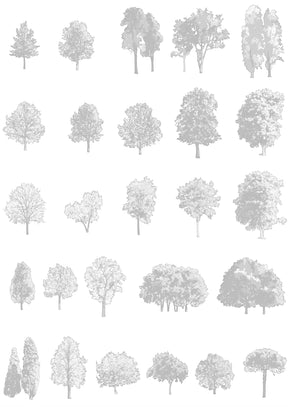 Large trees CAD blocks — detailed DWG files for architectural drawings