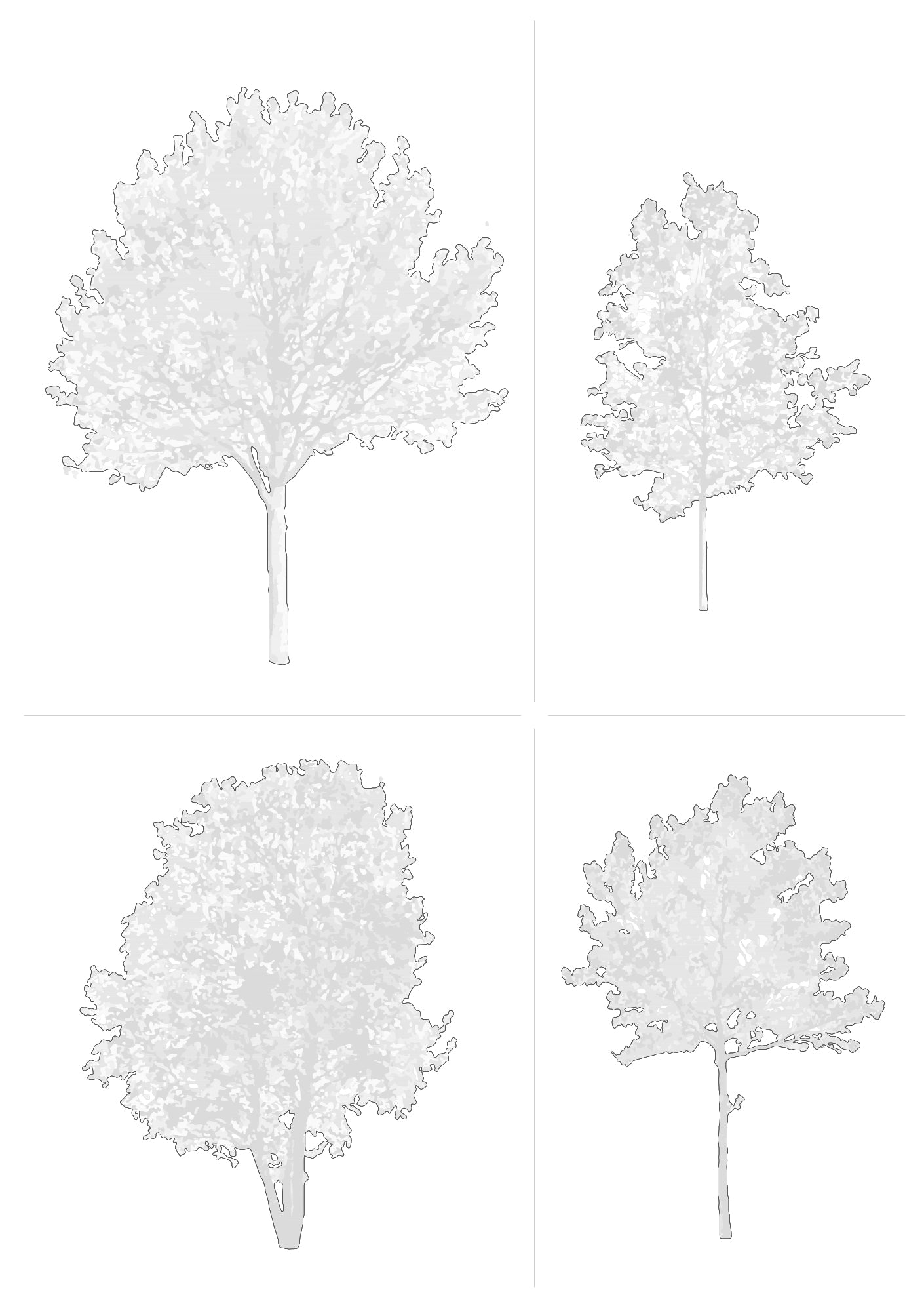 Large tree CAD blocks in elevation — detailed DWG drawings for architectural sections