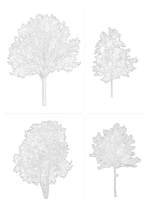 Large tree CAD blocks in elevation — detailed DWG drawings for architectural sections