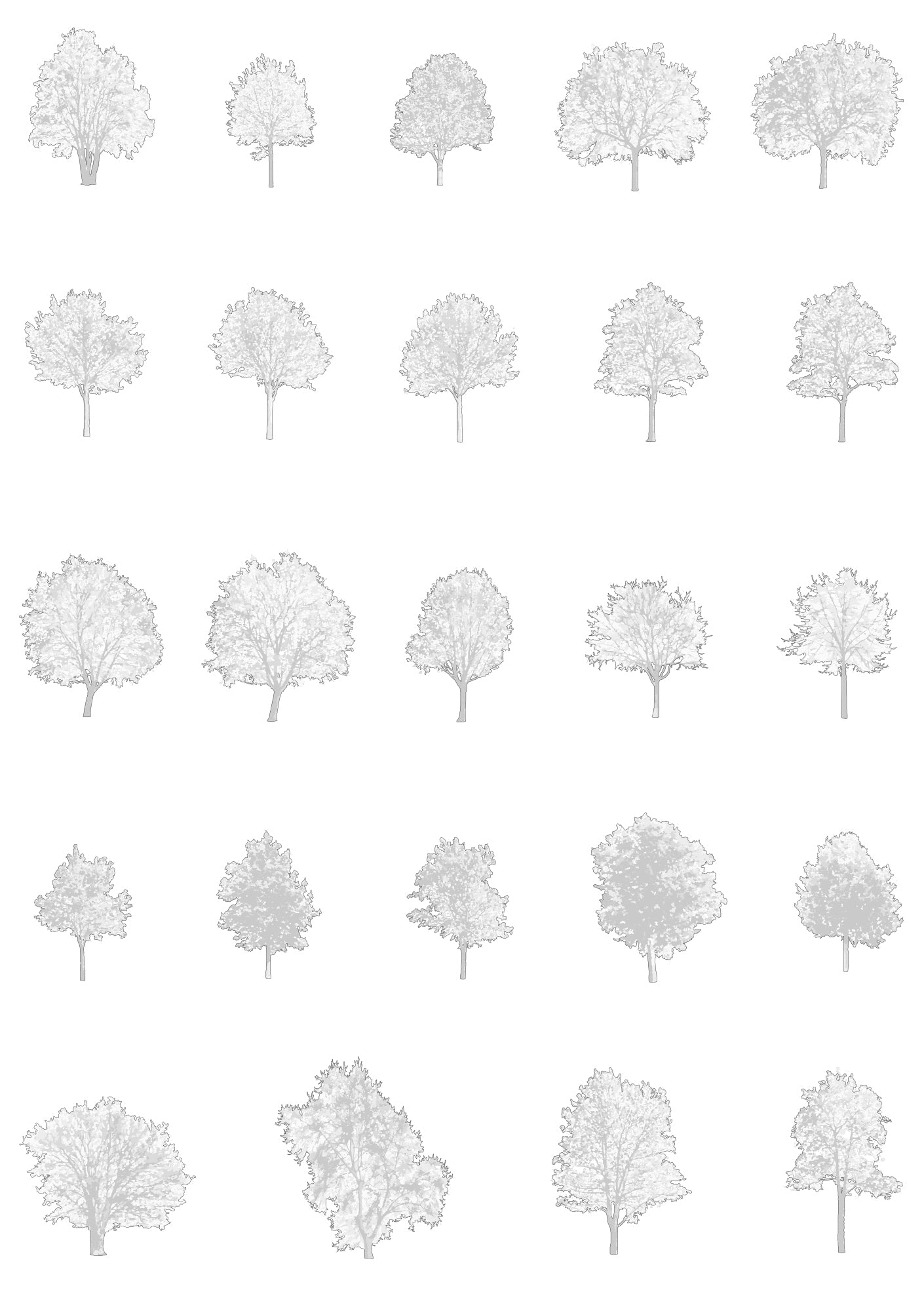 Large tree CAD blocks — diverse DWG files for architecture and landscape