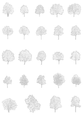 Large tree CAD blocks — diverse DWG files for architecture and landscape