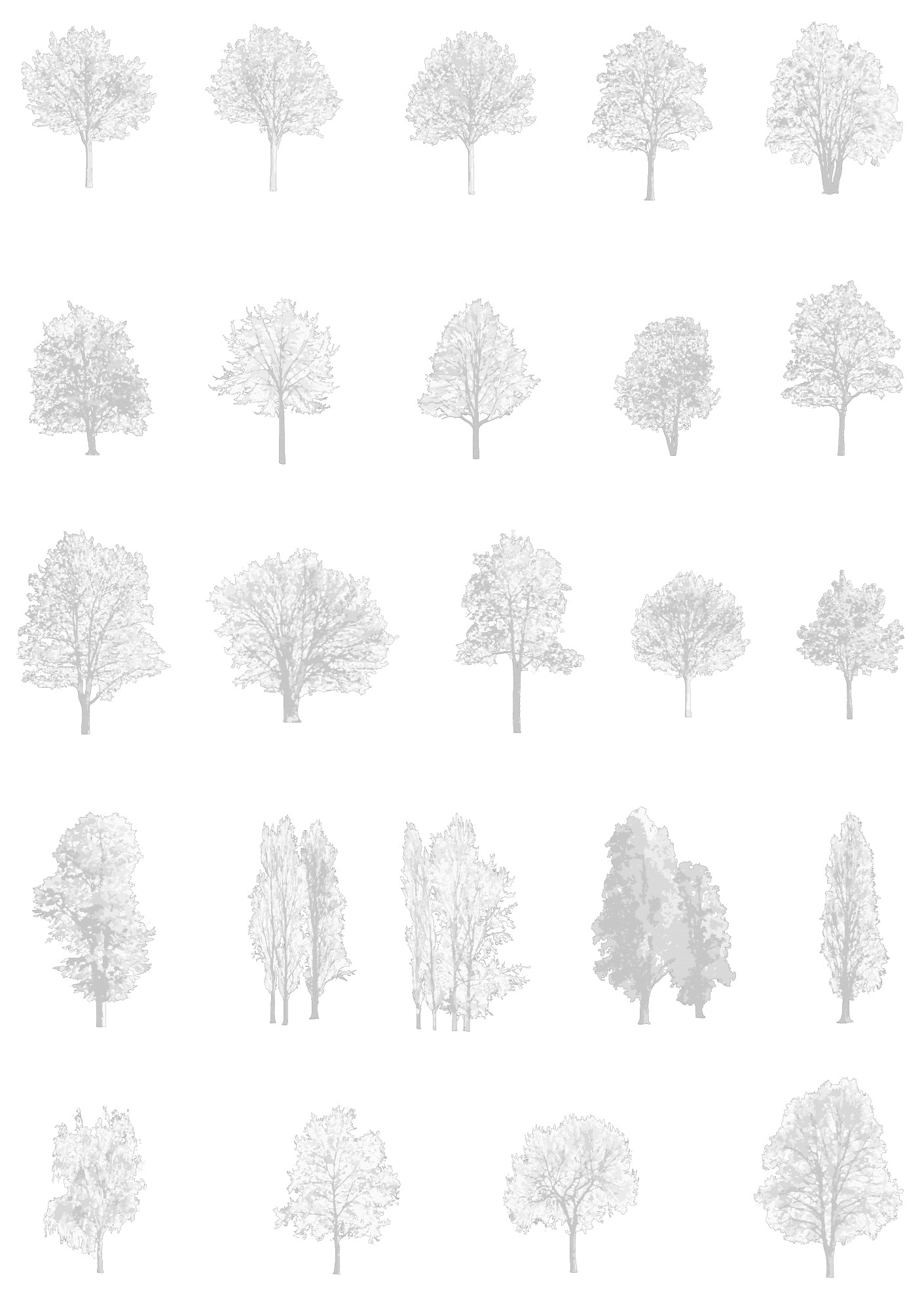 Large tree CAD blocks — extensive tree library for architectural drawings and sections, DWG