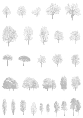 Large tree CAD blocks — diverse trees in architectural drawing, DWG for AutoCAD