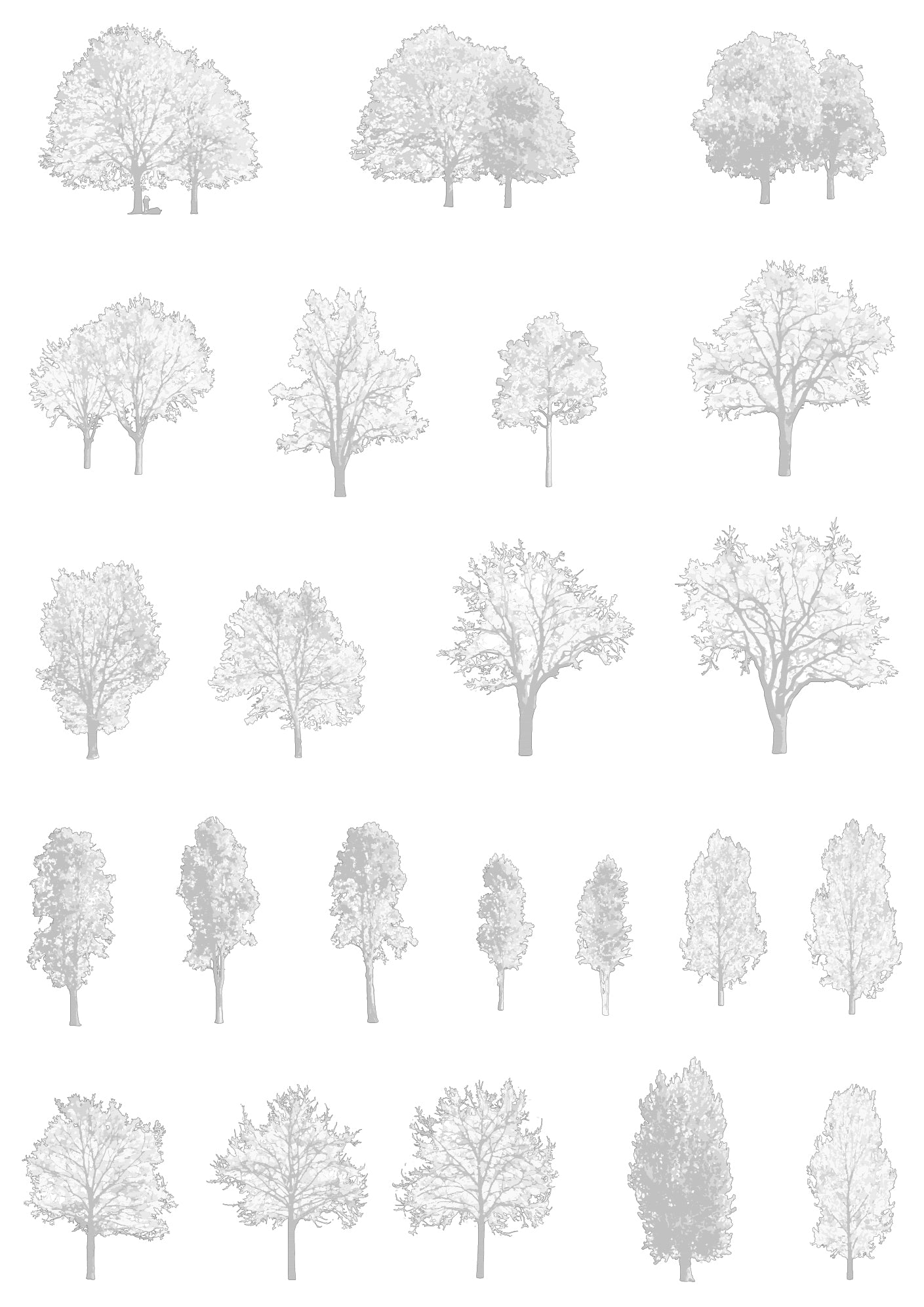 Large tree CAD blocks — diverse DWG drawings for landscape and architecture