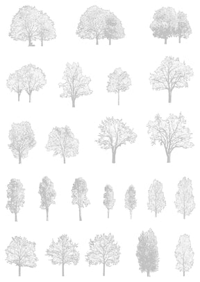 Large tree CAD blocks — diverse DWG drawings for landscape and architecture