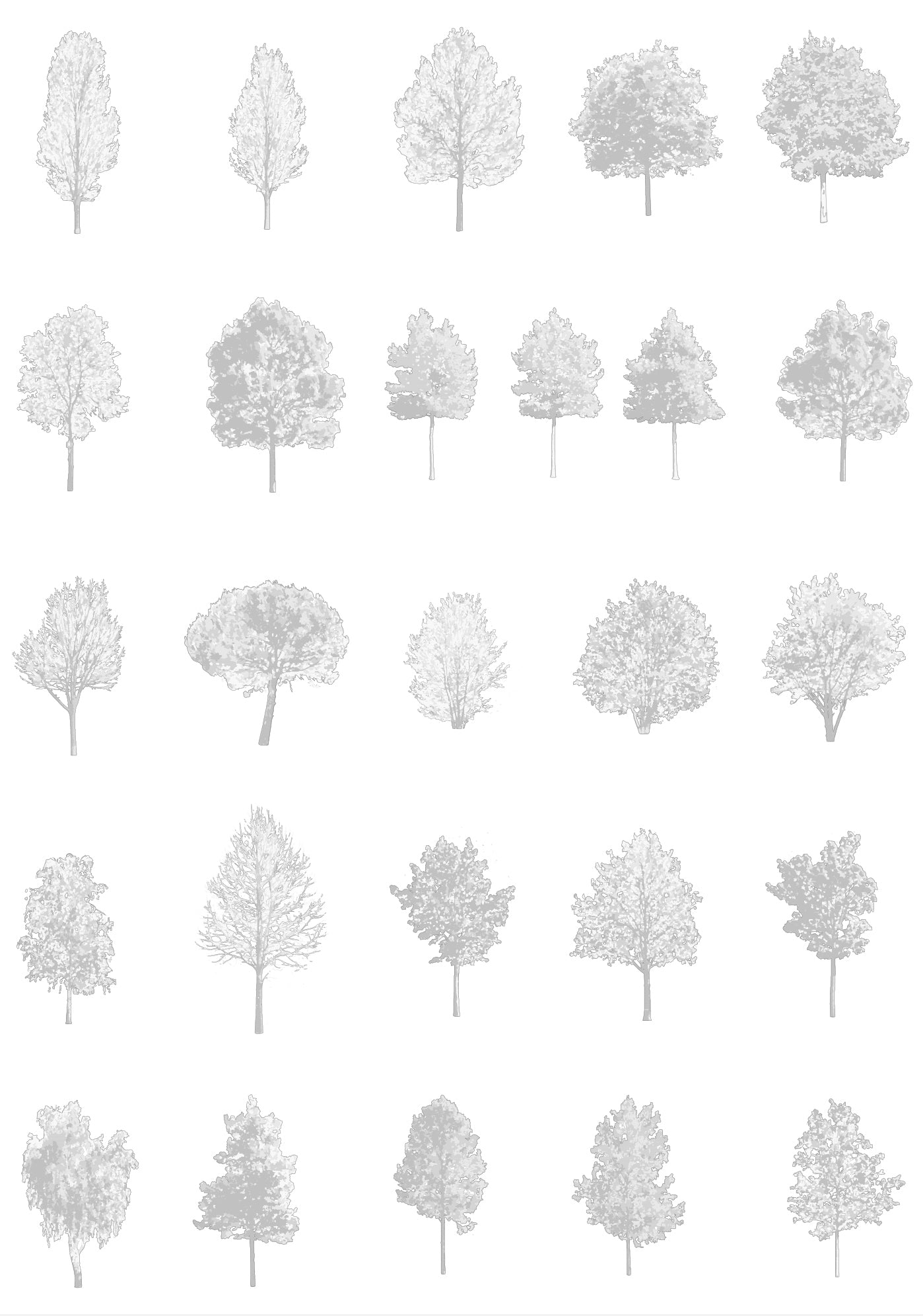Medium tree CAD blocks — diverse trees in architectural drawing, DWG for AutoCAD