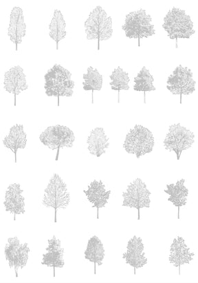 Medium tree CAD blocks — diverse trees in architectural drawing, DWG for AutoCAD