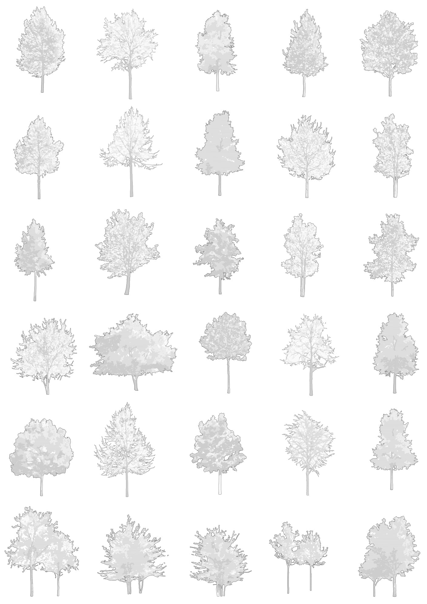 Medium tree CAD blocks — AutoCAD drawings
