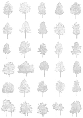 Medium tree CAD blocks — AutoCAD drawings