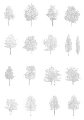 Medium tree CAD block in elevation — detailed tree drawing for architectural sections, DWG