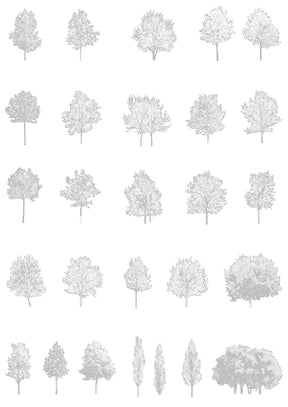 Medium tree CAD blocks — DWG drawings for architecture
