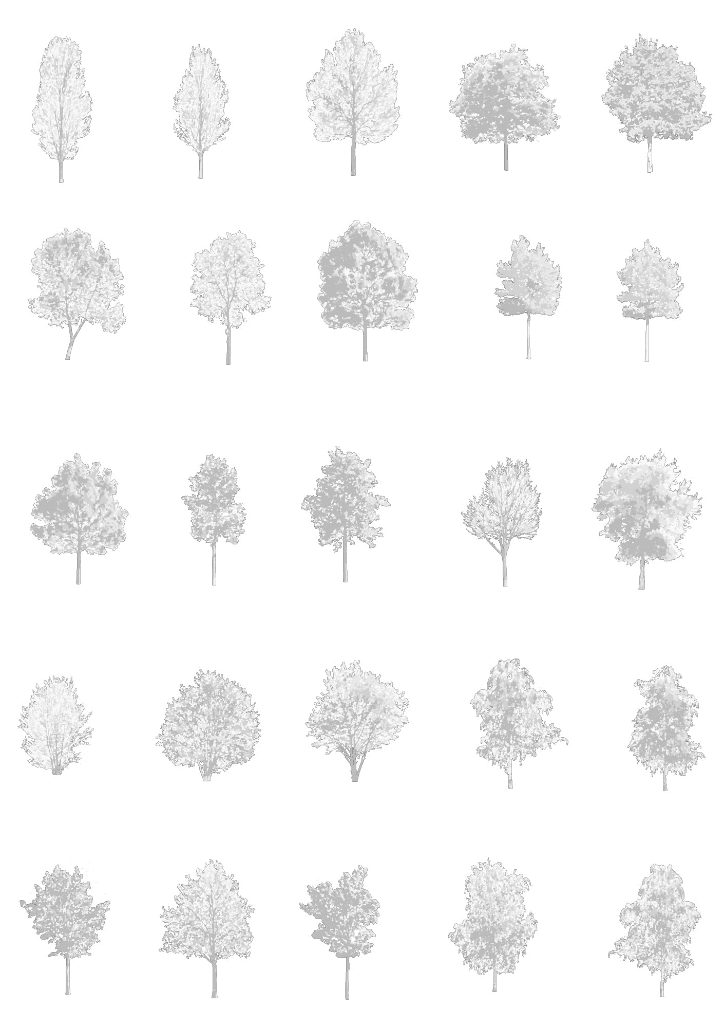 Diverse medium tree CAD blocks — detailed DWG files