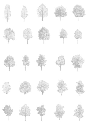 Diverse medium tree CAD blocks — detailed DWG files