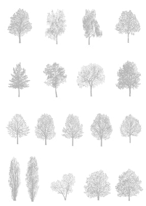 Medium tree CAD blocks — diverse trees for architectural drawings and sections, DWG