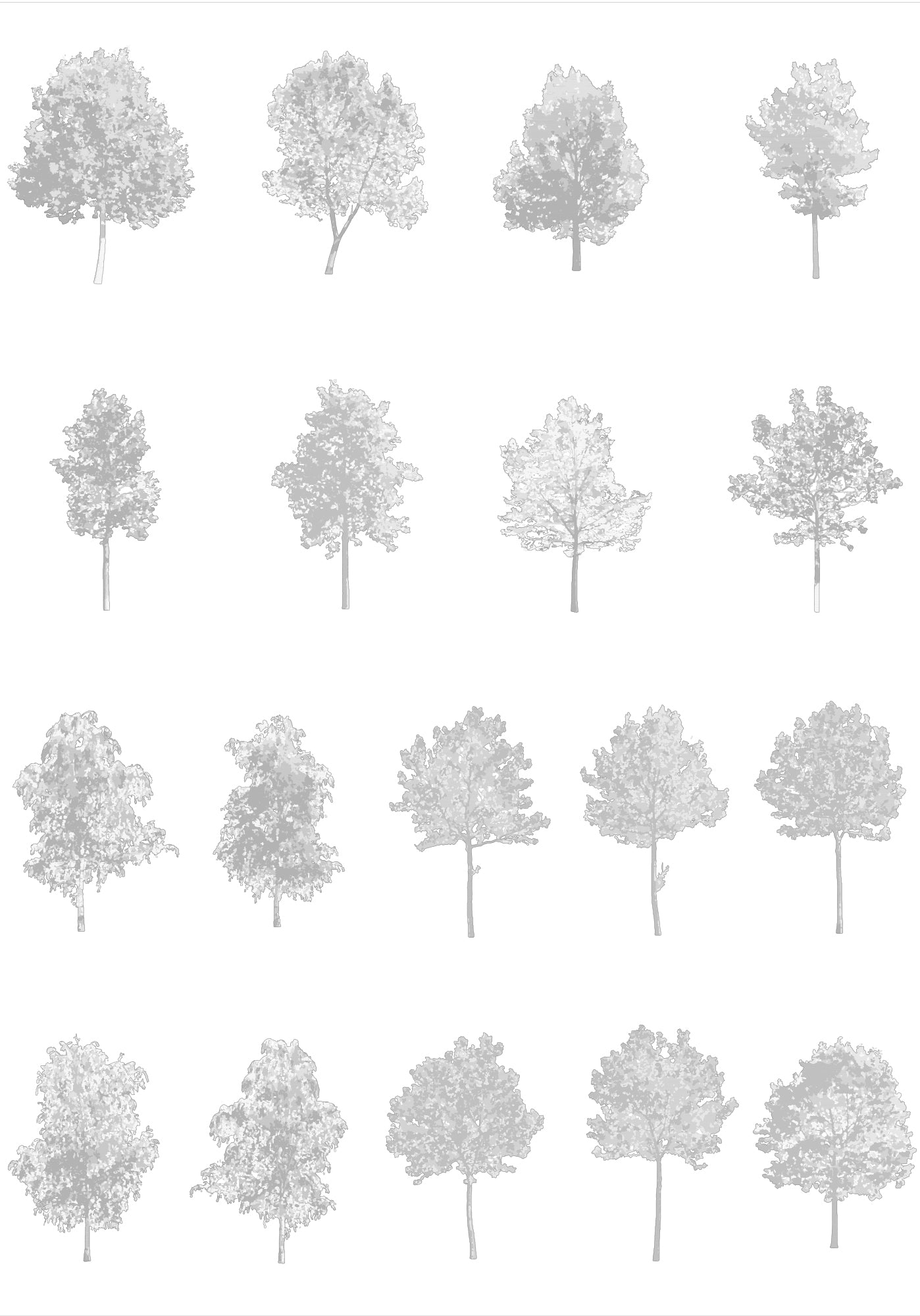 Medium tree CAD blocks — diverse trees for architectural drawings and sections, DWG