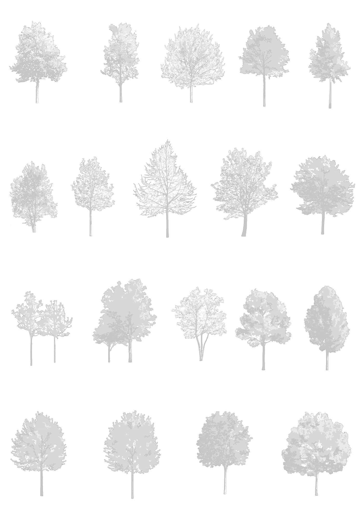 Medium tree CAD blocks — diverse trees in architectural drawing, DWG for AutoCAD
