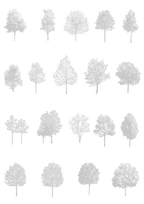 Medium tree CAD blocks — diverse trees in architectural drawing, DWG for AutoCAD