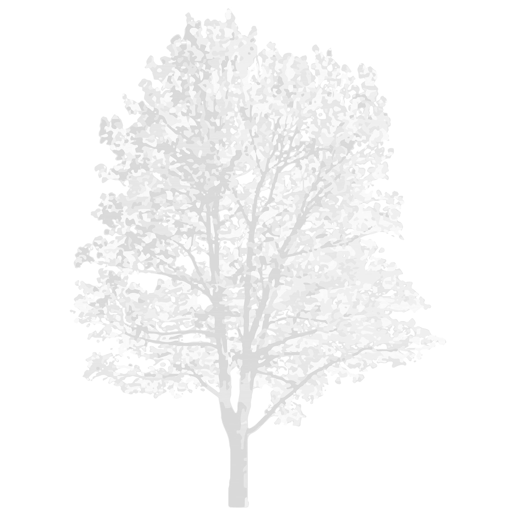 Realistic CAD tree block — detailed vectorial drawing for architectural sections, DWG for AutoCAD