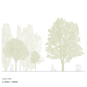 Realistic CAD tree blocks in elevation — diverse trees for architectural drawings, DWG for AutoCAD